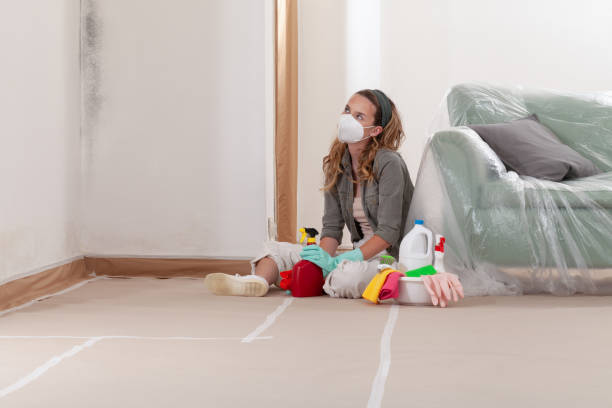 Reliable Mold Cleanup contractor in Bath, MI by WQB Mold Removal